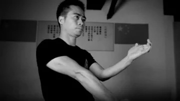 Biu Jerk Wing Chun course cover image featuring Master Liu demonstrating advanced techniques.